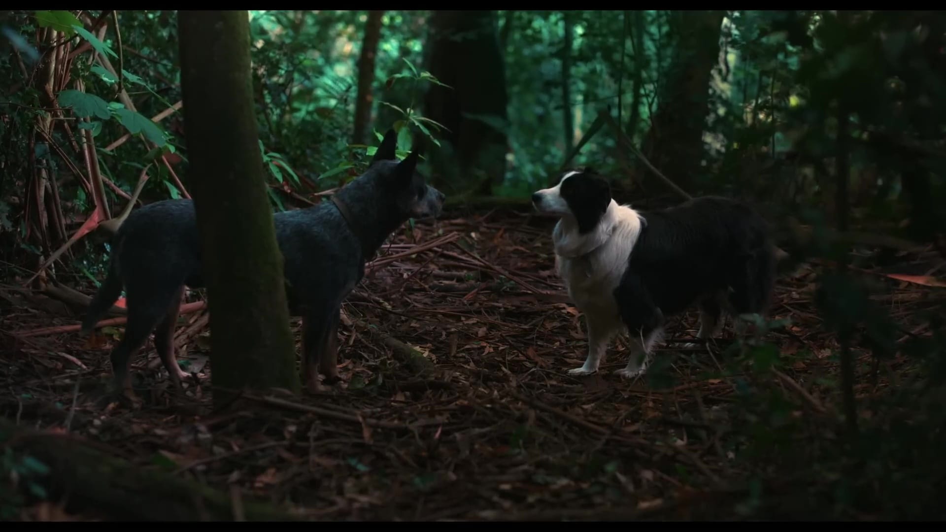 A Little of Everything