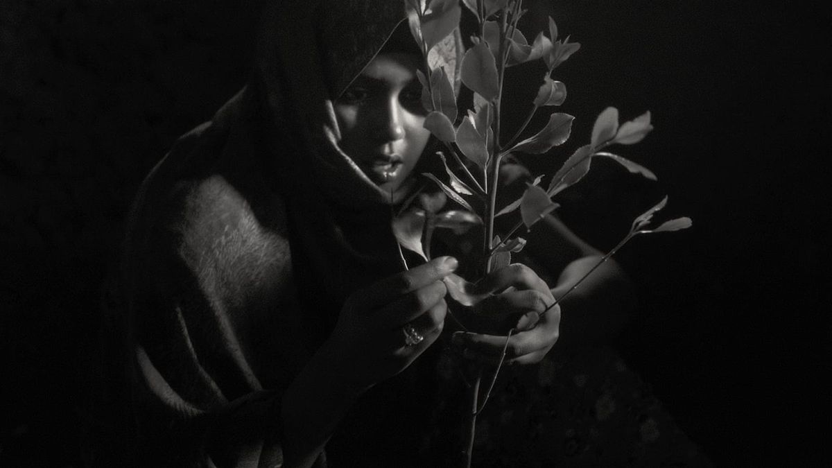 A woman contemplates a khat plant in a still from Jessica Beshir's FAYA DAYI.